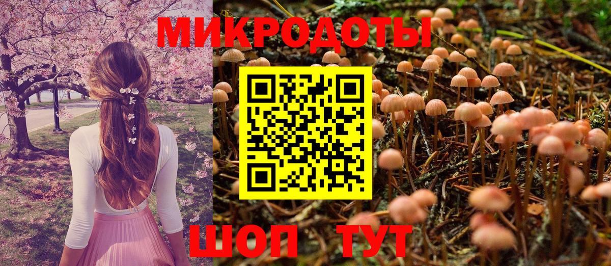 Галлюциногенные грибы Cubensis  Псилоцибиновые грибы мицелий  Вход с VPN  Татарск 